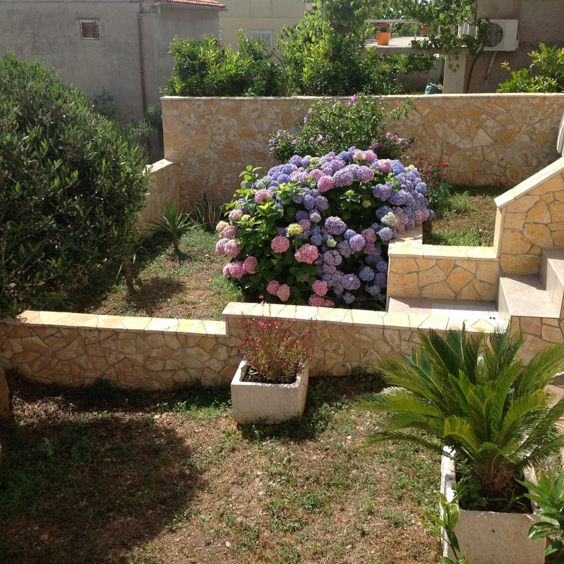 Apartments Kristina Hvar Town Chambre photo